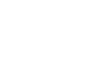 1gnite asset recovery solutions