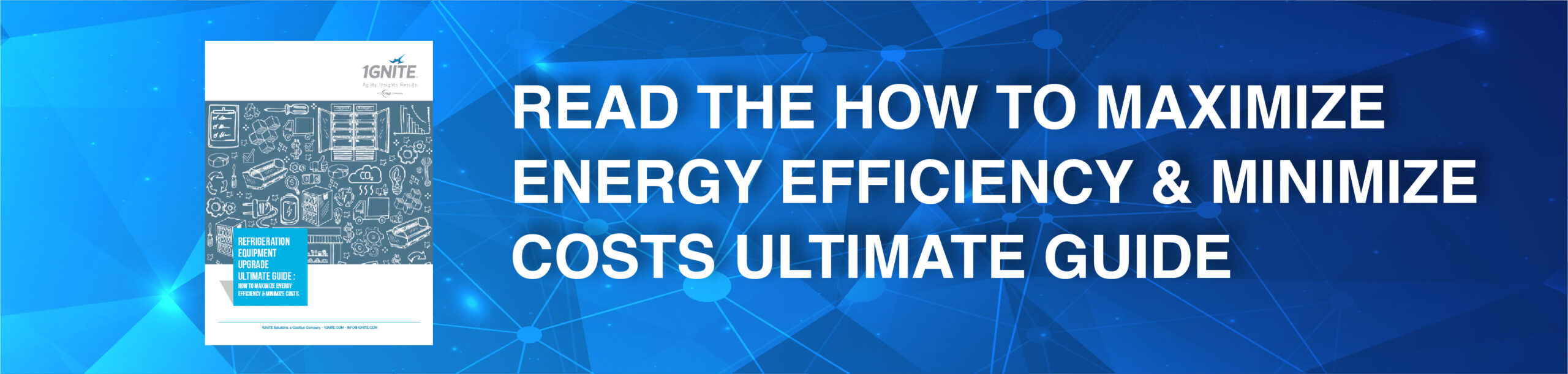 HOW TO MAXIMIZE ENERGY EFFICIENCY  and MINIMIZE COSTS 1GNITE